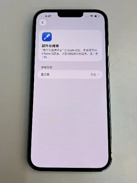 Apple iPhone 13 Pro Max — photo 2 of 11