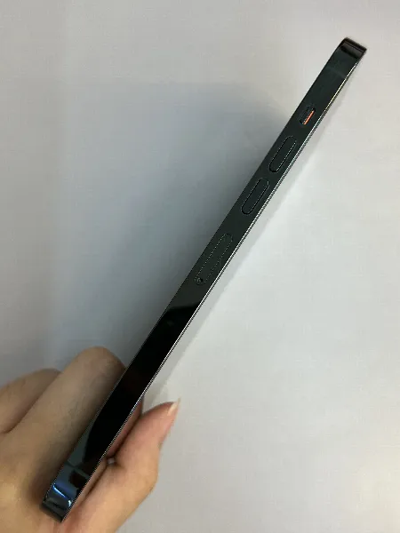 Apple iPhone 13 Pro Max — photo 10 of 11