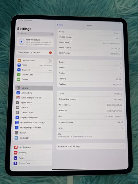 Apple ipad pro 13inch m4