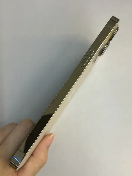 Apple iPhone 13 Pro Max — photo 7 of 10
