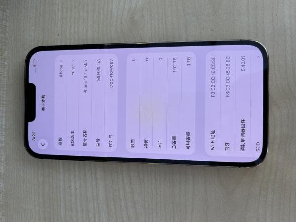 Apple iPhone 13 Pro Max
