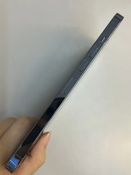 Apple iPhone 13 Pro Max — photo 9 of 10