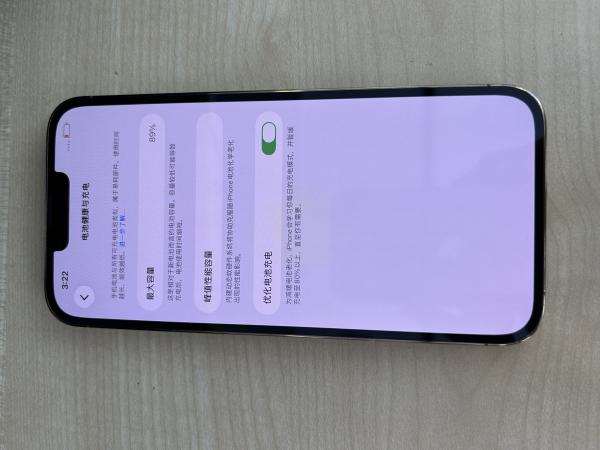 Apple iPhone 13 Pro Max