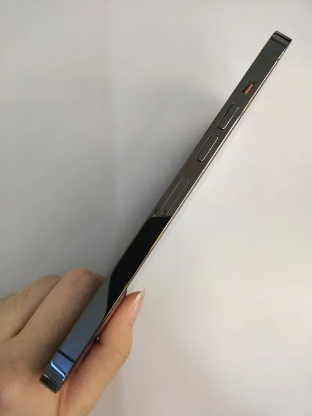 Apple iPhone 13 Pro Max — photo 8 of 10
