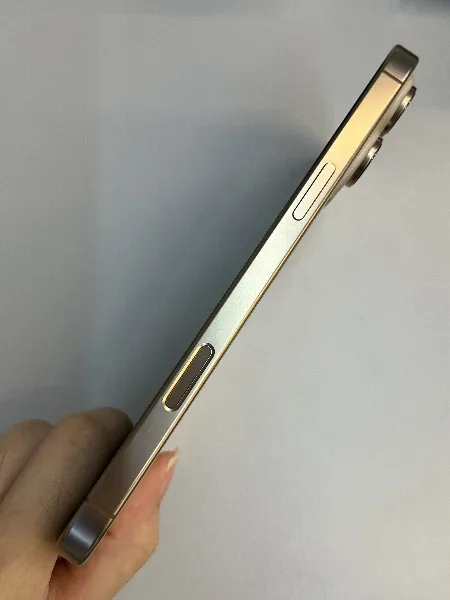 Apple iPhone 16 Pro Max