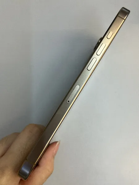 Apple iPhone 16 Pro Max
