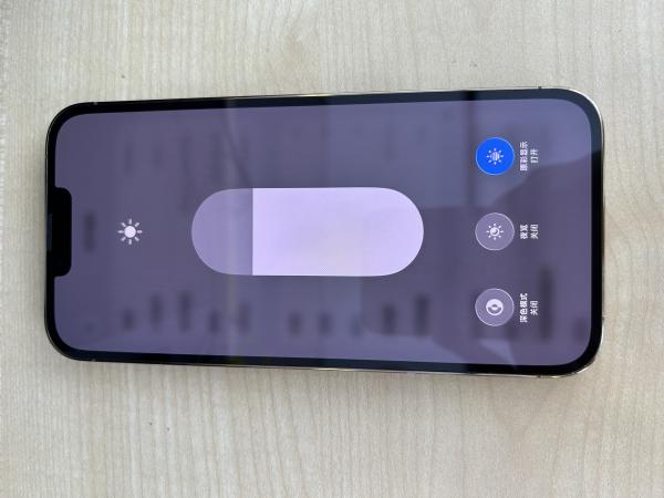 Apple iPhone 13 Pro Max