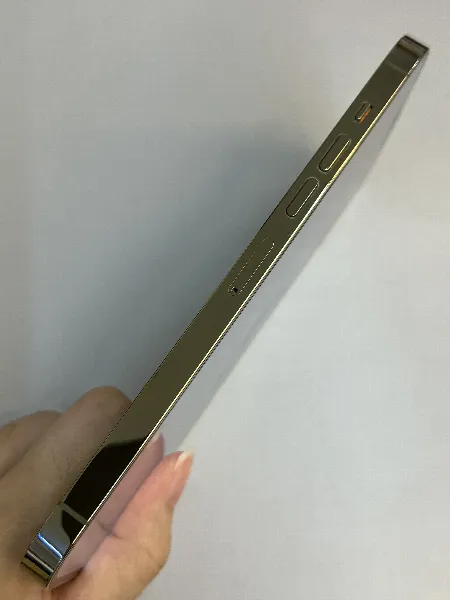 Apple iPhone 13 Pro Max — photo 9 of 10