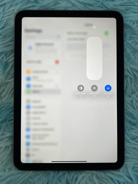 Apple iPad mini (6th Gen 2021)