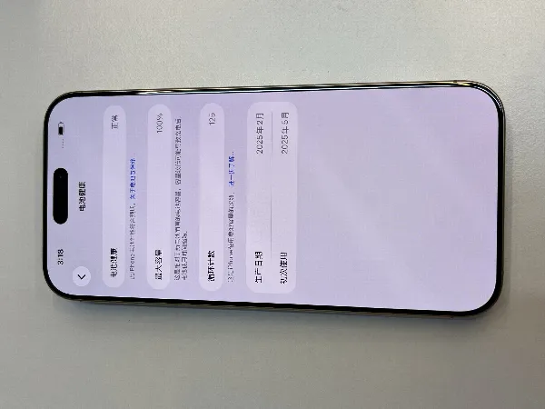 Apple iPhone 16 Pro Max