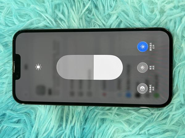 Apple IPHONE 13 PROMAX
