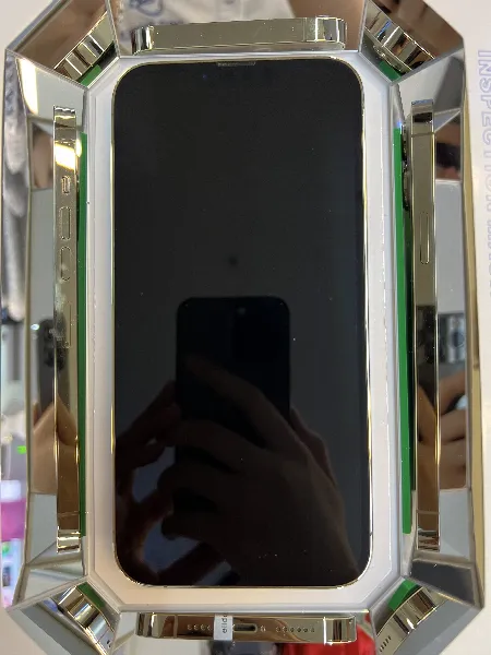 Apple iPhone 13 Pro Max — photo 1 of 10