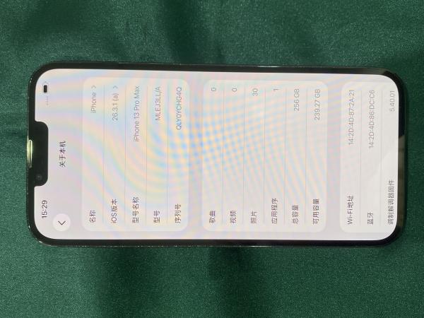 Apple iPhone 13 Pro Max