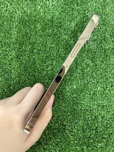 Apple IPHONE 13 PROMAX