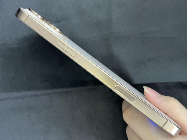 Apple iPhone 16 Pro Max
