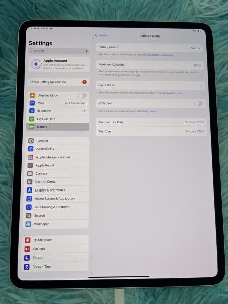 Apple ipad pro 13inch m4