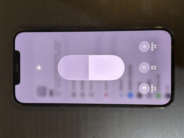 Apple IPHONE 12 PROMAX