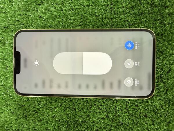 Apple IPHONE 13 PROMAX