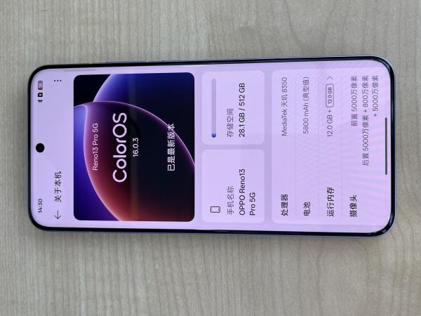 OPPO OPPO RENO13 PRO 5G