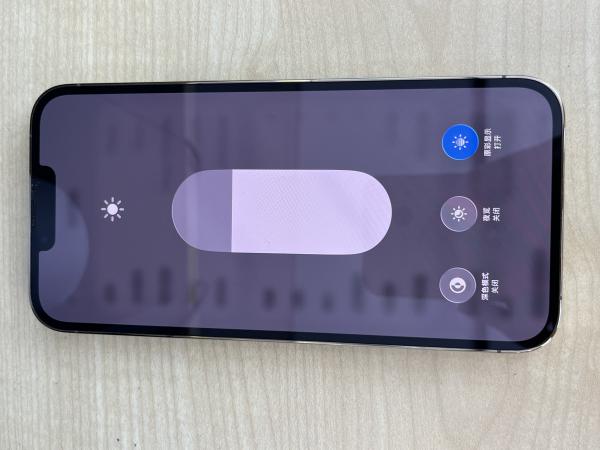 Apple IPHONE 13 PROMAX