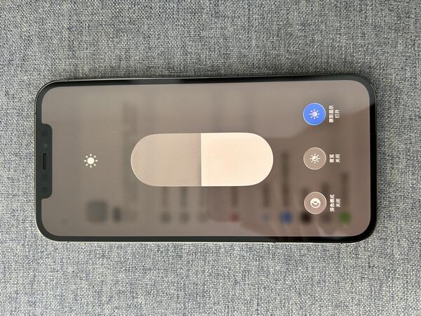 Apple IPHONE 12 PROMAX