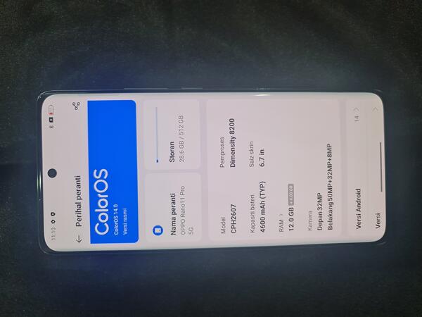 OPPO OPPO RENO 11 Pro 5G