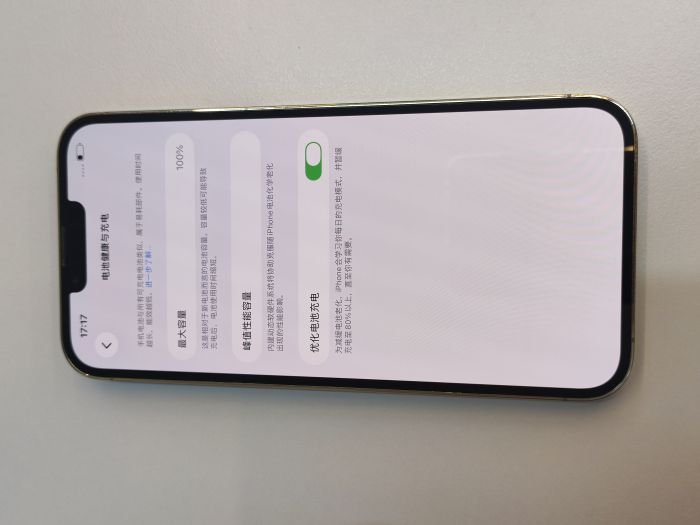 Apple iPhone 13 Pro Max — photo 8 of 10
